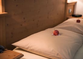 Natur Pur Hotel Unterpichl 4