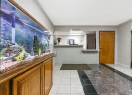Super 8 by Wyndham Burleson Fort Worth Area 2