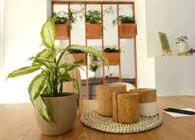 Hypnos Boutique Hotel 4