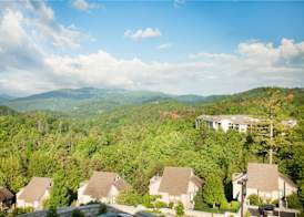 Hilton Vacation Club MountainLoft Gatlinburg 3