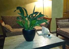 Hotel Pamplona Villava 5