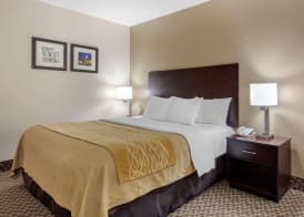 Comfort Inn Horn Lake - Southhaven 3