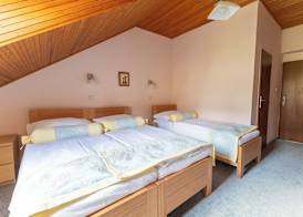 Hotel Wilhelm 5