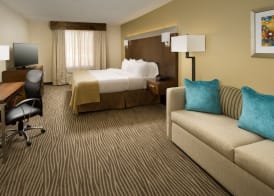 Holiday Inn EL PASO AIRPORT by IHG 5
