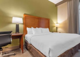 Comfort Inn & Suites LaVale - Cumberland 4
