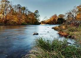 Tailwater Lodge Altmar, Tapestry Collection By Hilton 3