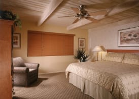 Desert Isle of Palm Springs 4