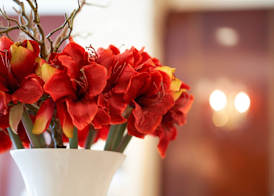GoldOne Hotel & Suites 5