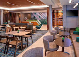 SpringHill Suites by Marriott East Lansing University Area, Lansing Area 3