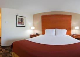 Holiday Inn Express & Suites BAINBRIDGE by IHG 3