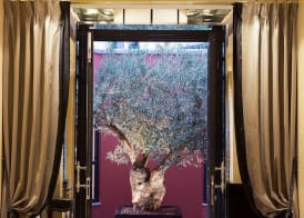 Le Belmont Paris 3