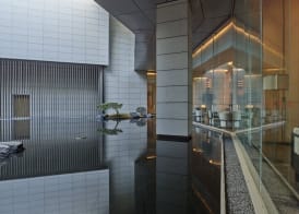 HUALUXE Nanjing Yangtze River by IHG 3
