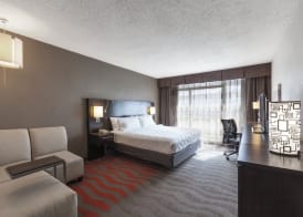 Holiday Inn AUSTIN MIDTOWN by IHG 5