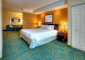 SpringHill Suites by Marriott - Tampa Brandon 3