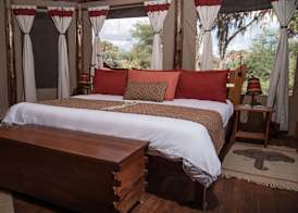 Elephant Bedroom Camp 4