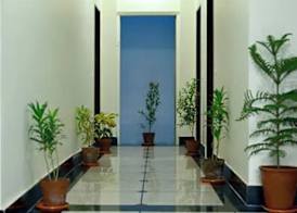 Hotel Dior Near Jal Mahal, Jaipur 3