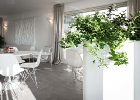 Hotel Commodore 4