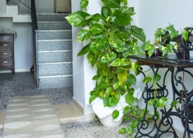 Villa Bianca 2