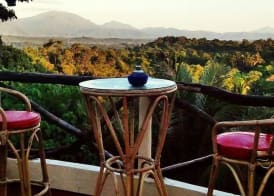 Al Hamra Jungle Resort 5