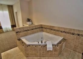 Comfort Inn Apalachin - Binghamton W Route 17 5