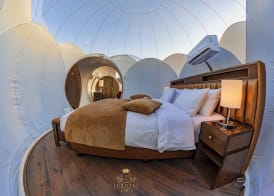Wadi Rum Bubble Luxotel 3
