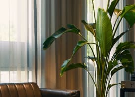 Art House Hotel 3