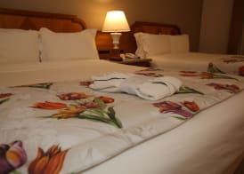 Mabu Thermas Grand Resort 5