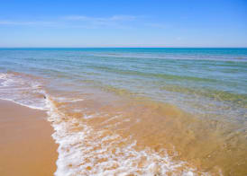 Oasis Beach & Spa - Blue Pearl 2