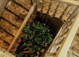 ALBERGO RISTORANTE BELSITO FIUGGI Nhost 5
