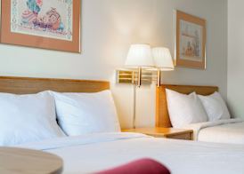 Motel Torrey 5