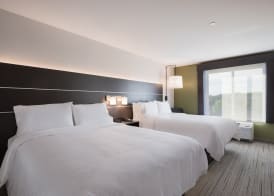 Holiday Inn Express & Suites CHICAGO - HOFFMAN ESTATES by IHG 4