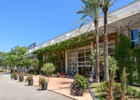 FERGUS Club Palmanova Park 4