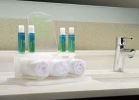 Holiday Inn Express & Suites CHARLOTTESVILLE - RUCKERSVILLE by IHG 3