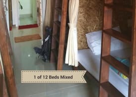 Chiang Mai Happy House Hostel 4