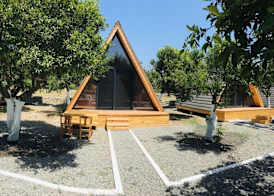 Limon Datca 3