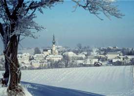 Danzer 2