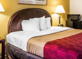 Rodeway Inn & Suites Carrollton 5