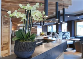 Dolomeet Boutique Hotel 4