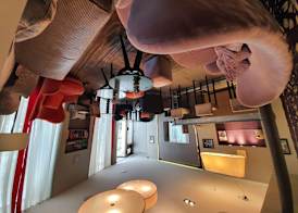 Hôtel Harvey 5