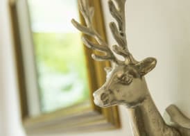 Hotel CampingPark Steiner 2