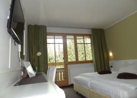 Ribno Alpine Hotel 4