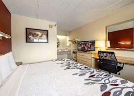 Red Roof Inn Johnson City 4