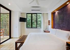 Arenas Del Mar Beachfront & Rainforest Resort Member of the Cayuga Collection 3