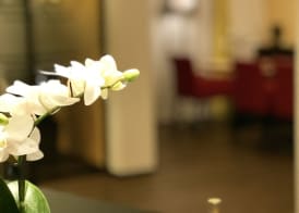 Hotel Jardin Bern 5