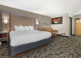 Best Western Plus Albert Lea I-90/I-35 Hotel 4
