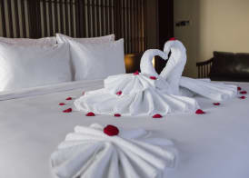 Scarlet Pearl Cruises - Wonder On Lan Ha Bay 2
