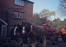 The Pear Tree 2