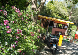 Cerquestra Camping Village 3