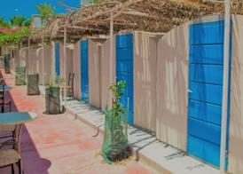Santorini Camping & Hostel 4
