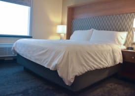 Holiday Inn BROWNSVILLE by IHG 5